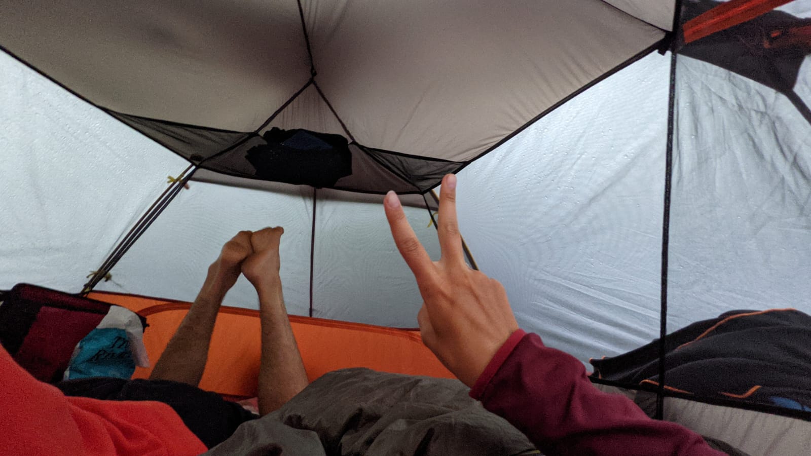 141a7395-7534-4d43-9f8c-6f29ba2ec8c1