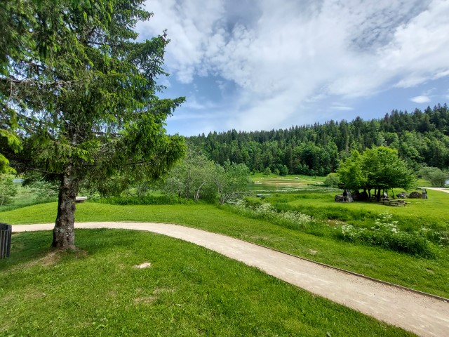 20210617_150423 (Petit)