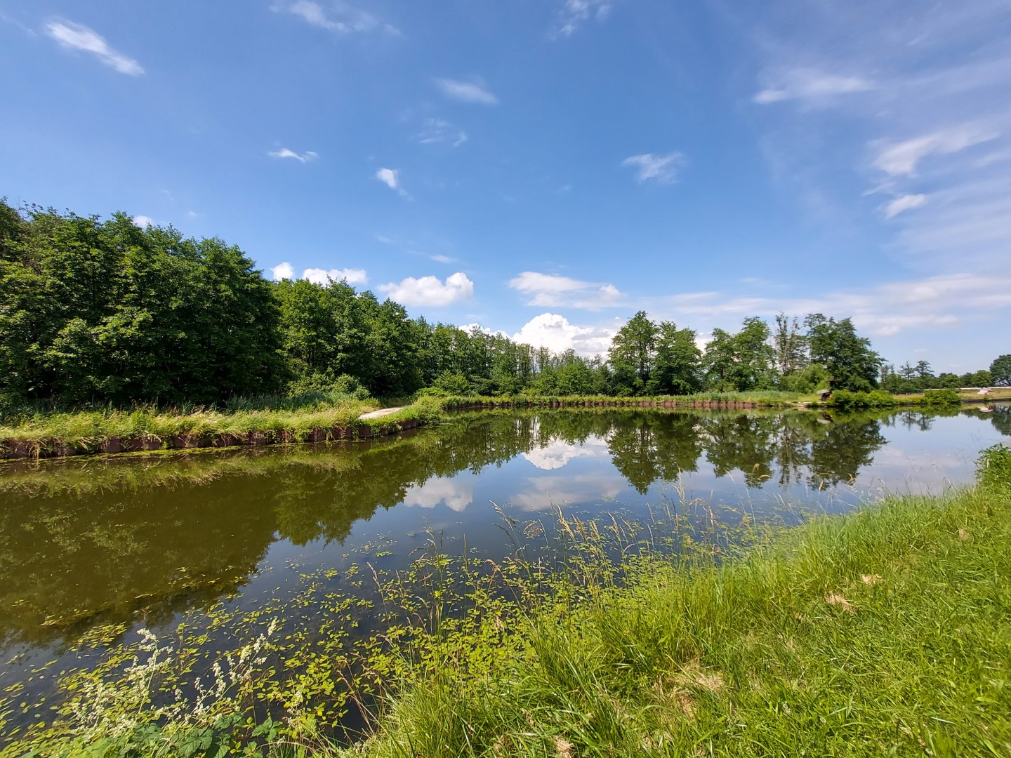 20210623_145325 (Grand)