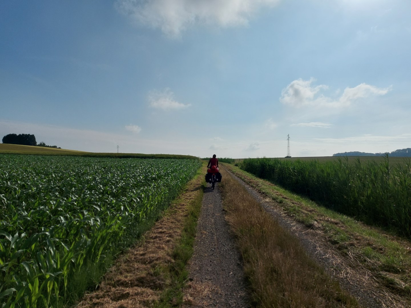 20210625_084819 (Grand)