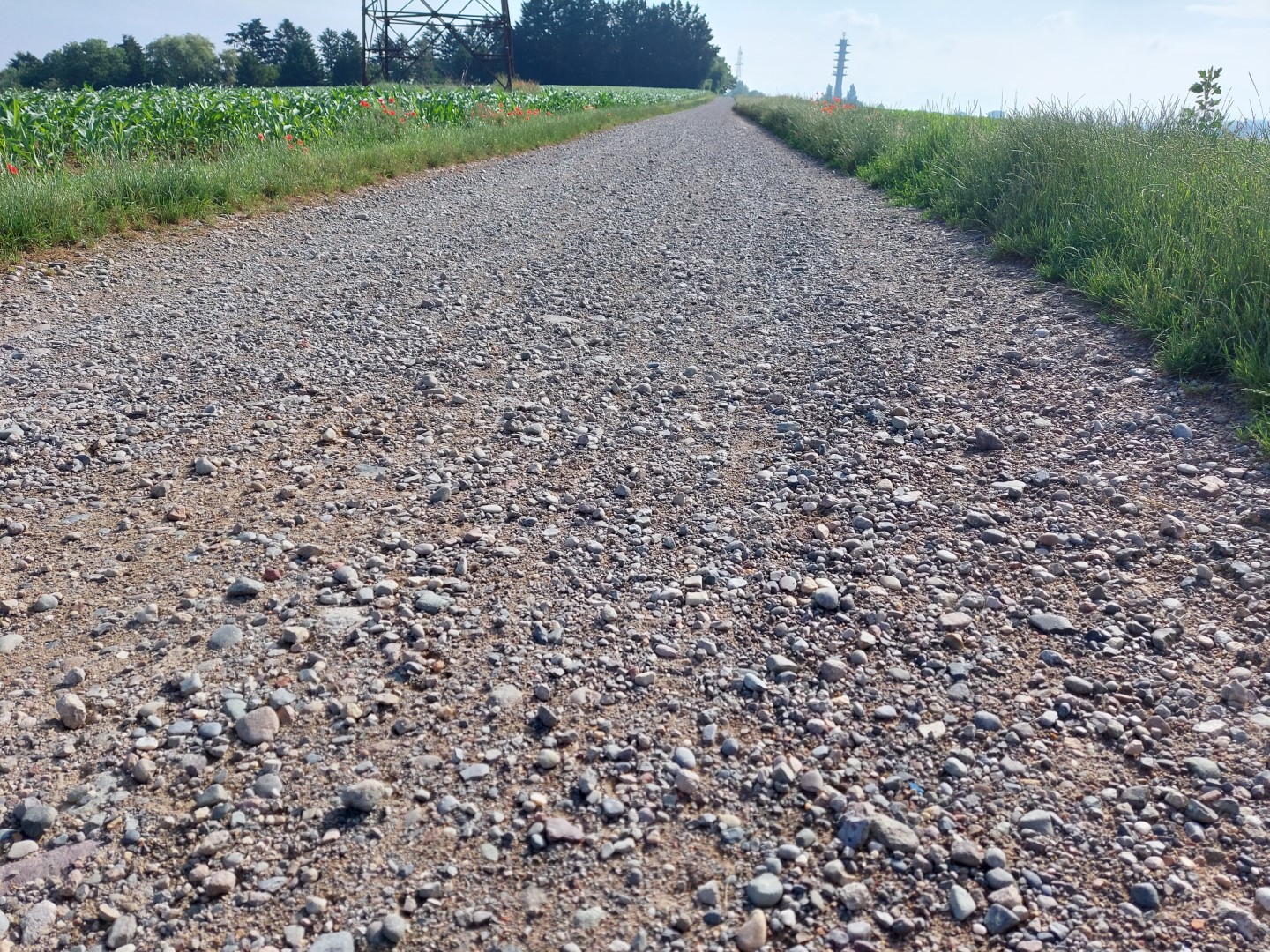 20210625_090400 (Grand)