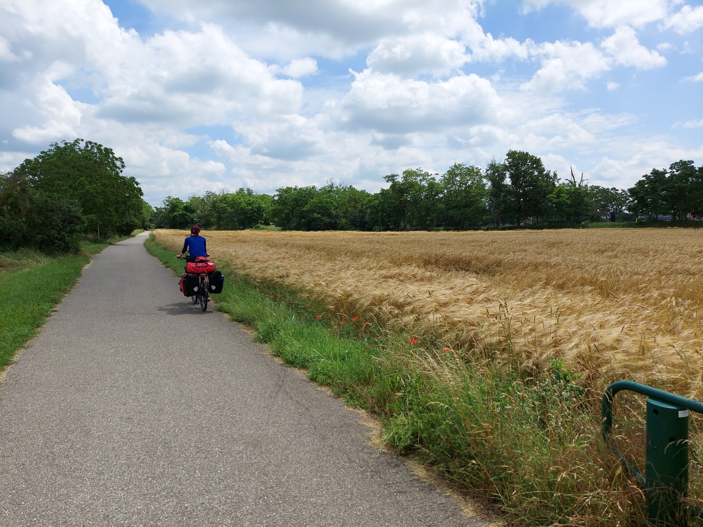 20210625_131229 (Grand)