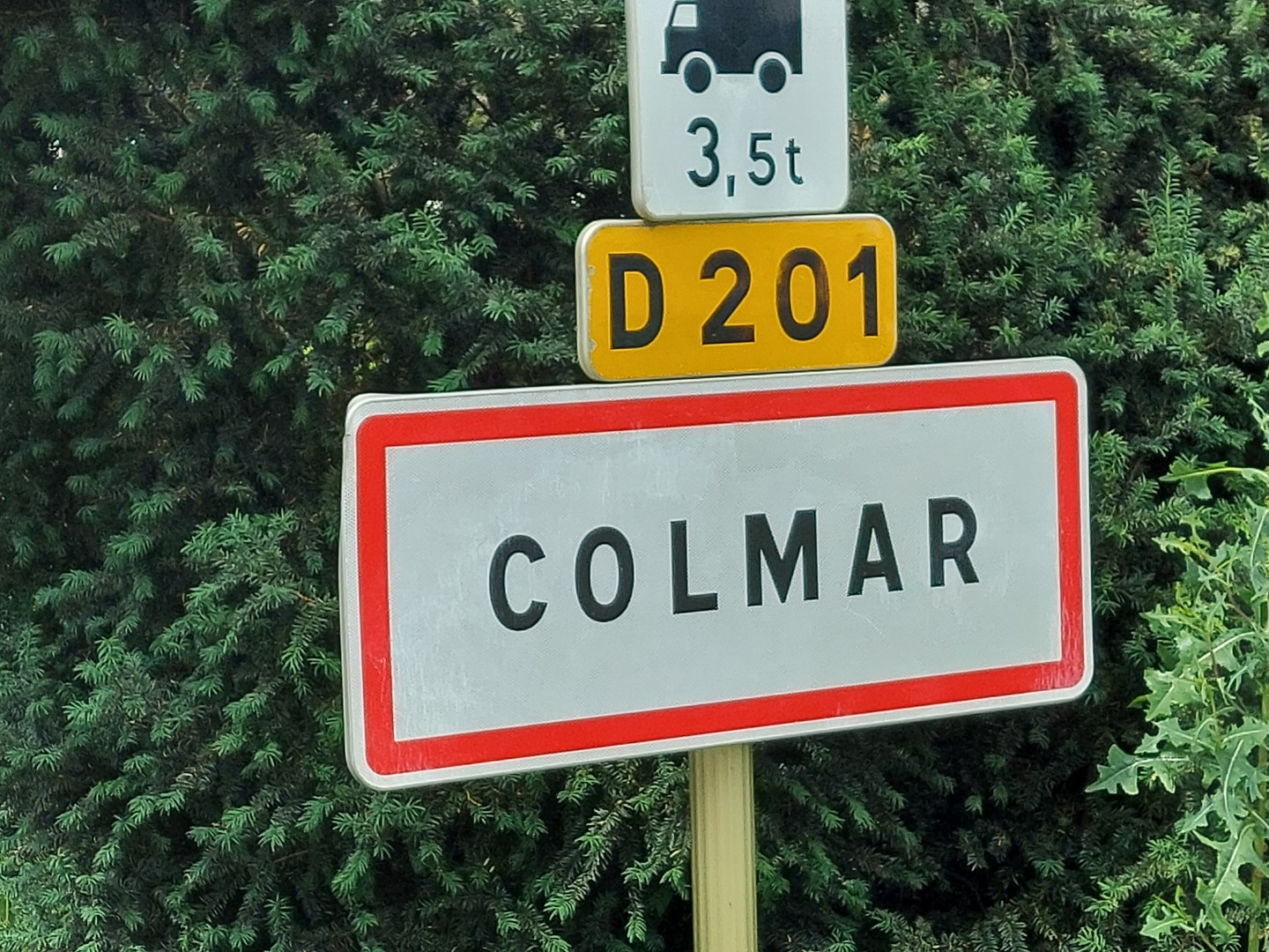 20210625_155930 (Grand)