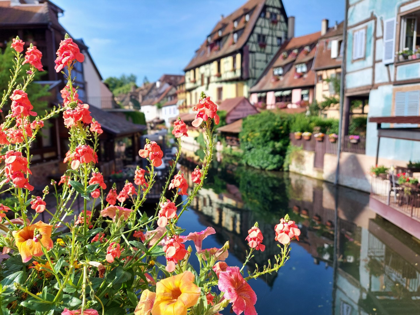 20210626_095521 (Grand)