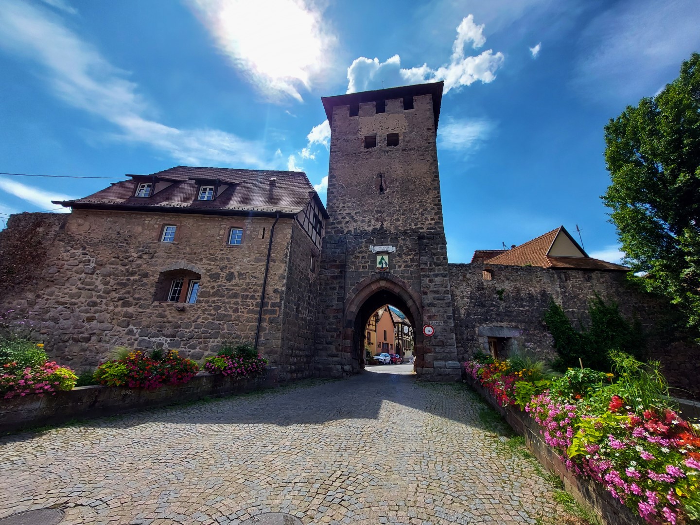 20210626_153100 (Grand)