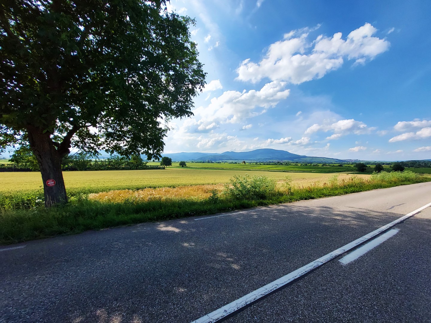 20210626_170801 (Grand)