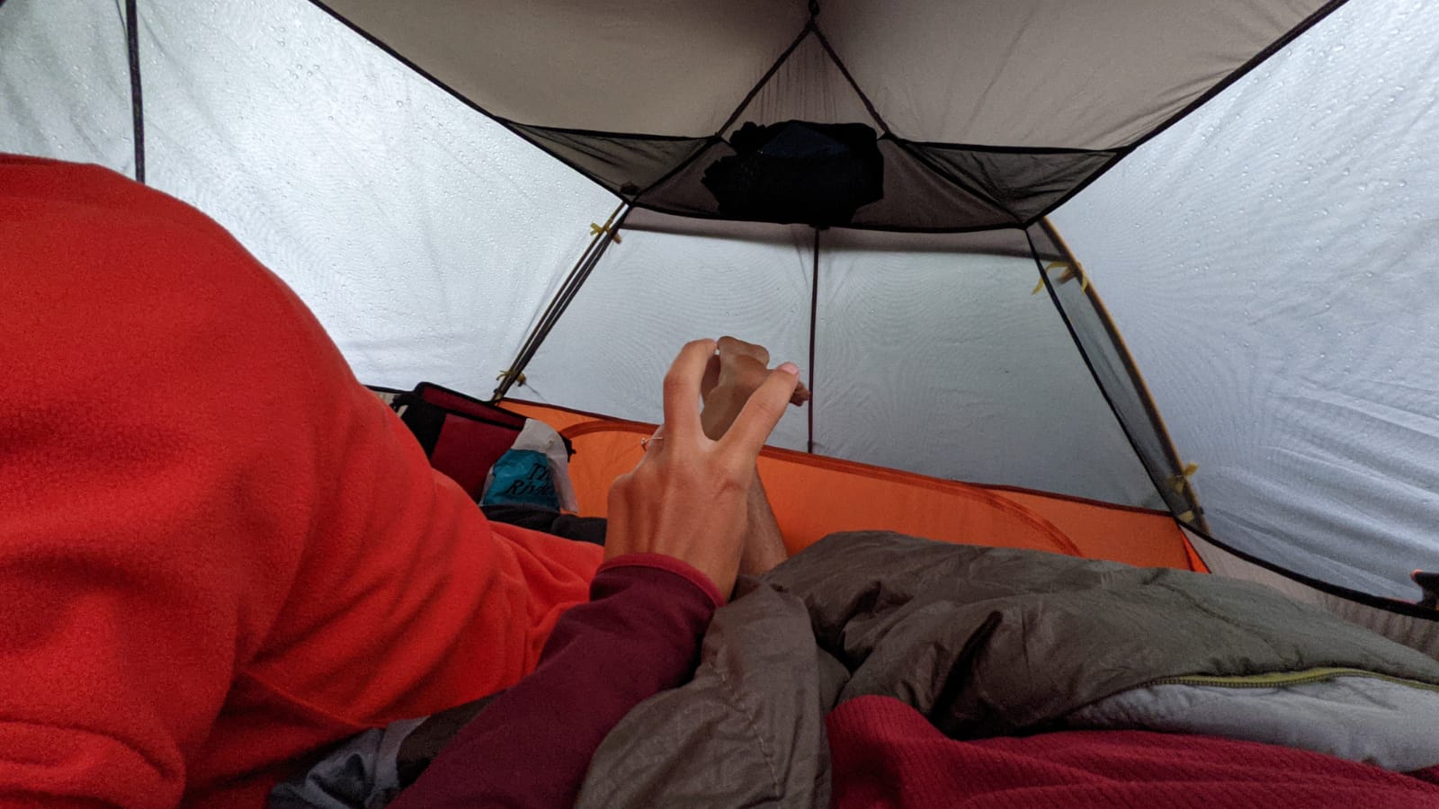 55c63f1b-c3c5-478e-813c-8d06b67588eb