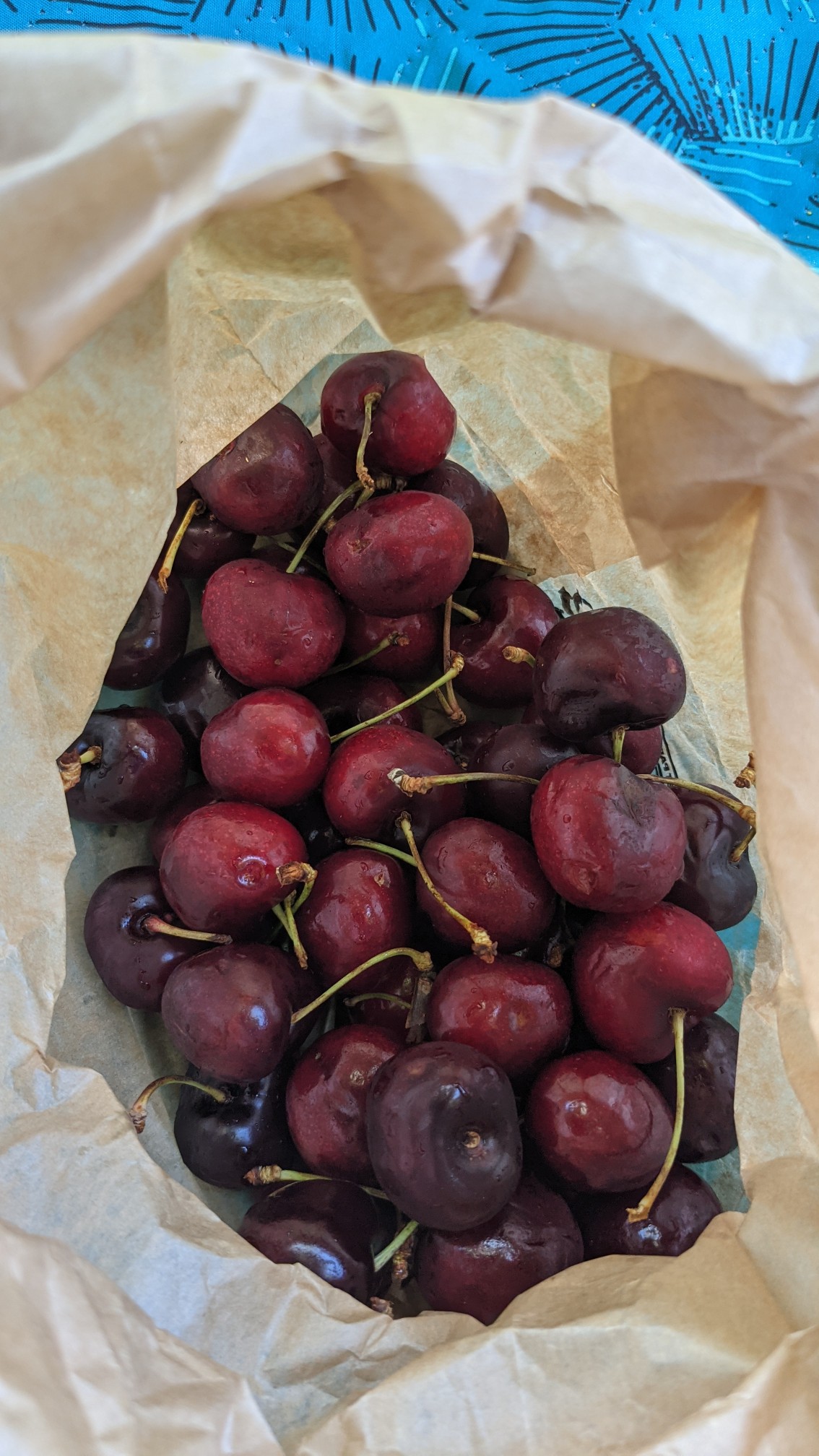 PXL_20210616_111614142