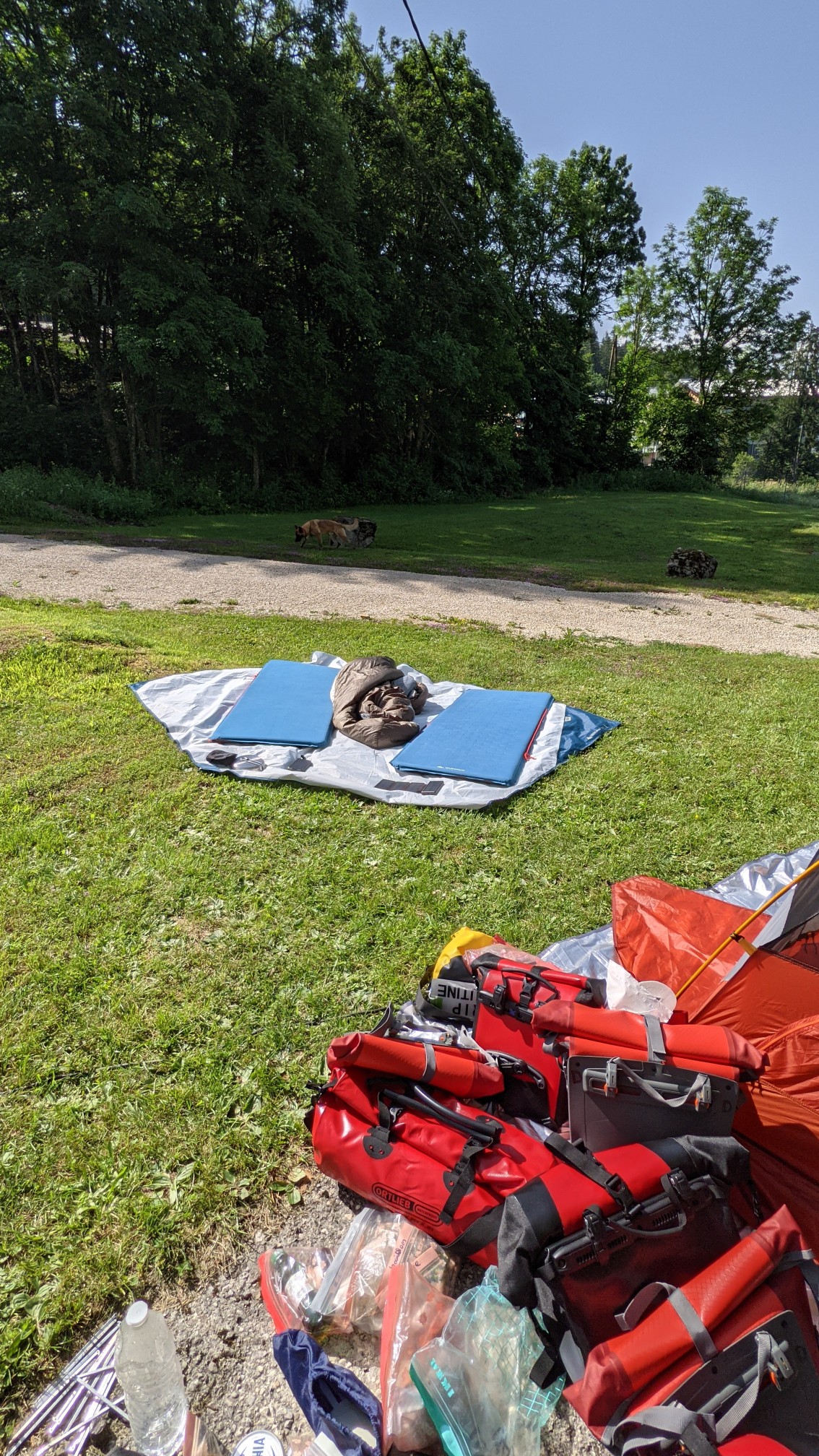 PXL_20210618_082216268