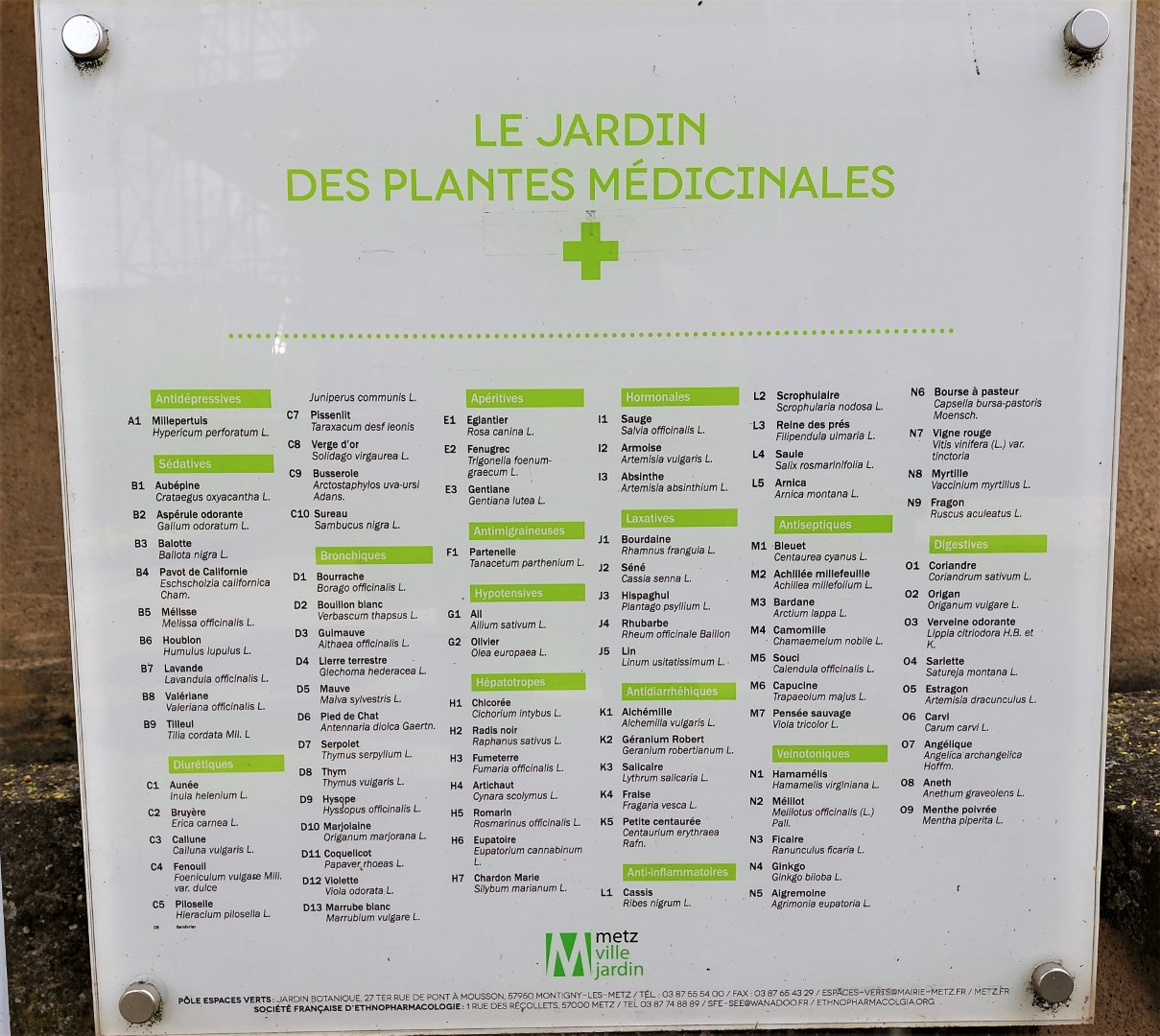 20210702_111746 (Grand)