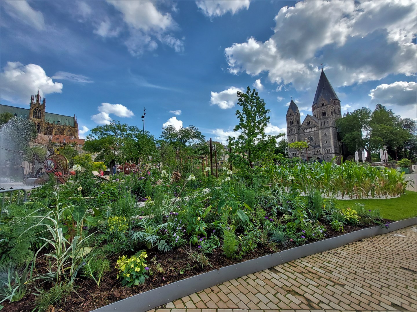 20210702_171705 (Grand)