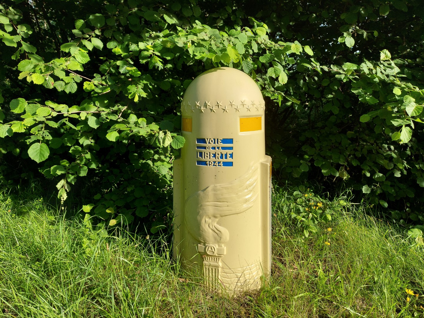 20210703_084121 (Grand)