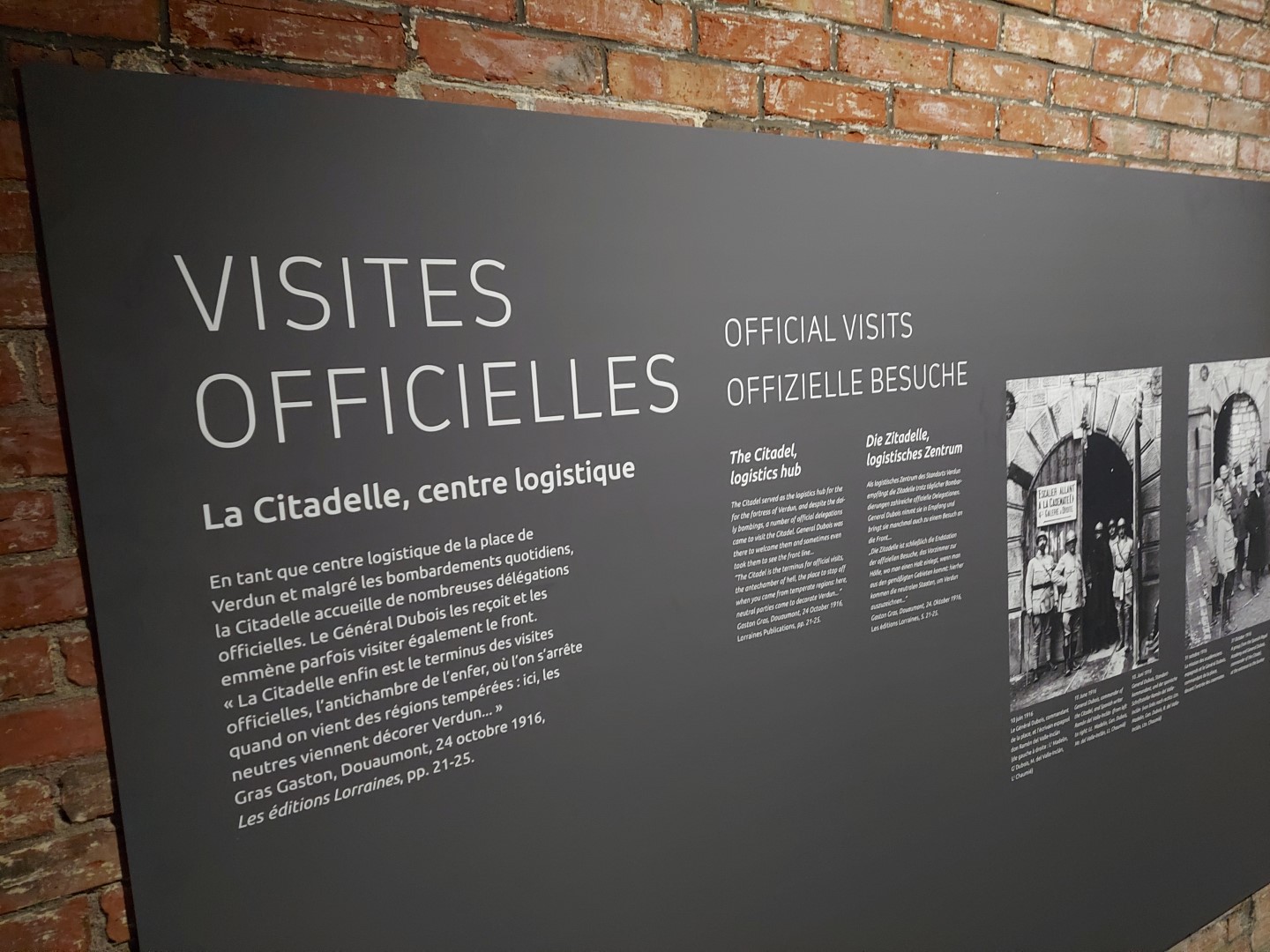 20210704_113233 (Grand)