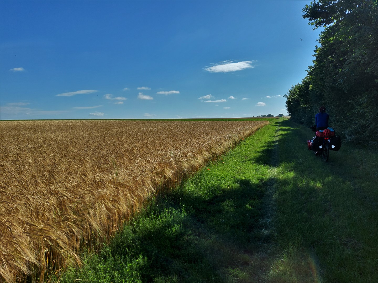 20210707_093233 (Grand)