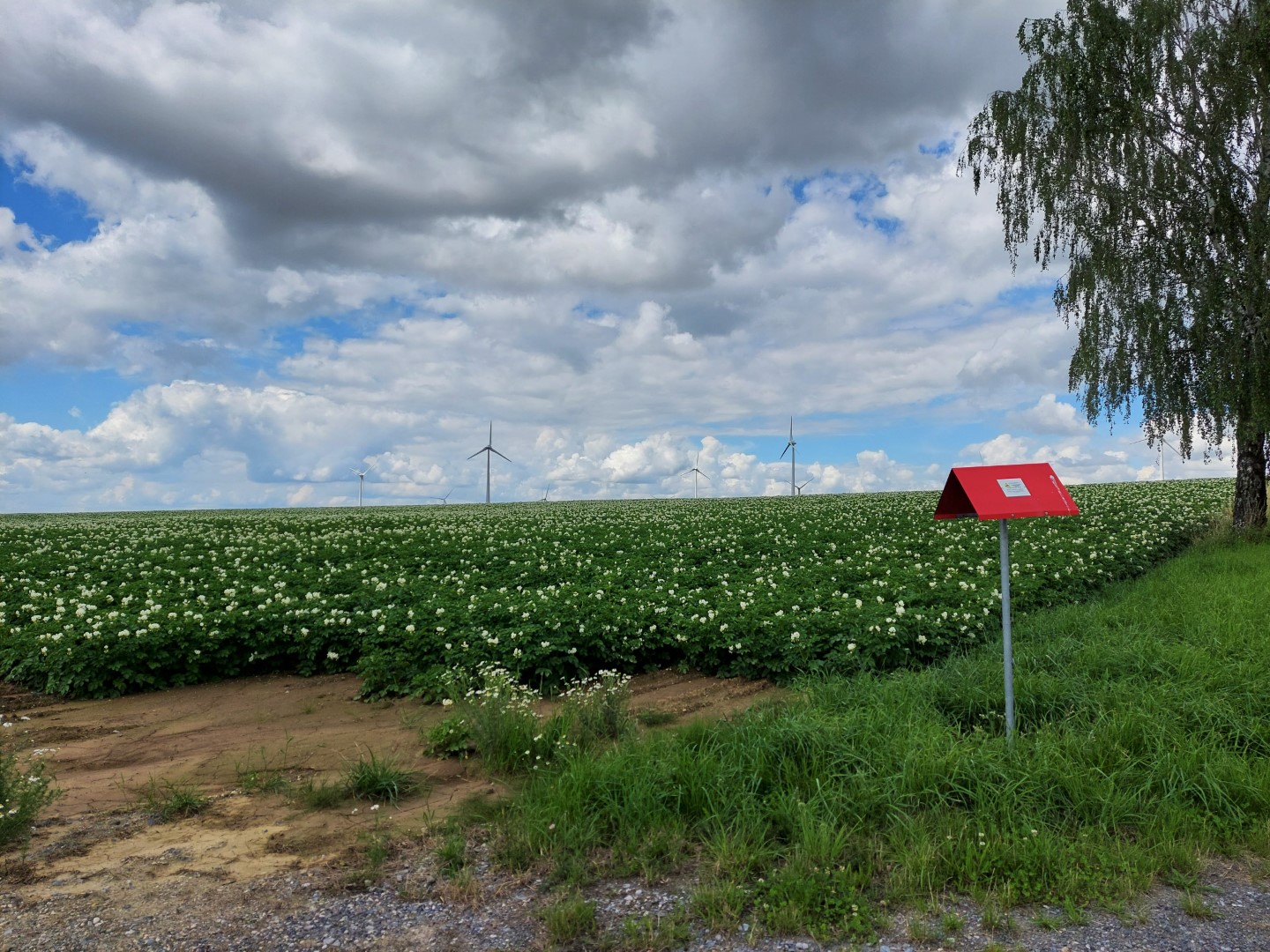 20210708_125929 (Grand)