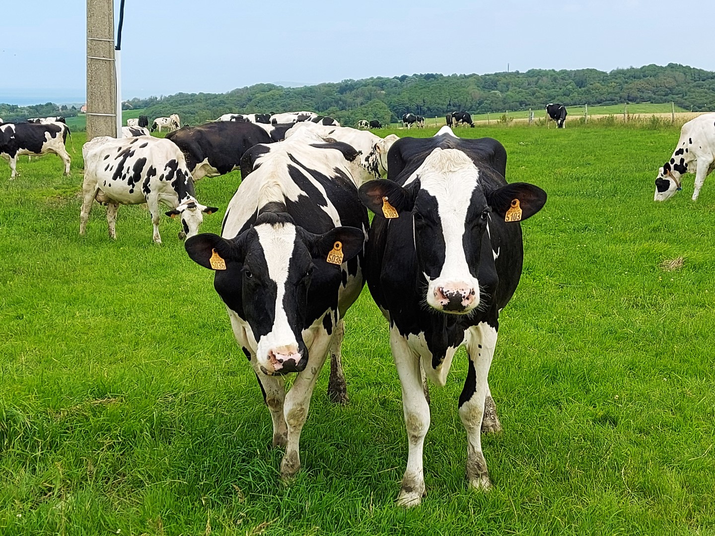 20210715_134238 (Grand)