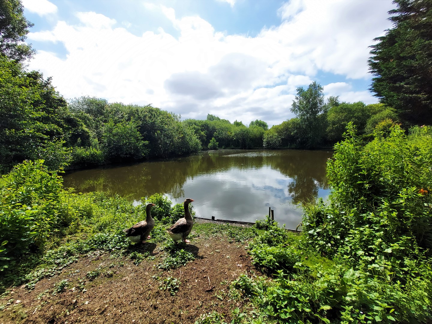 20210716_112115 (Grand)