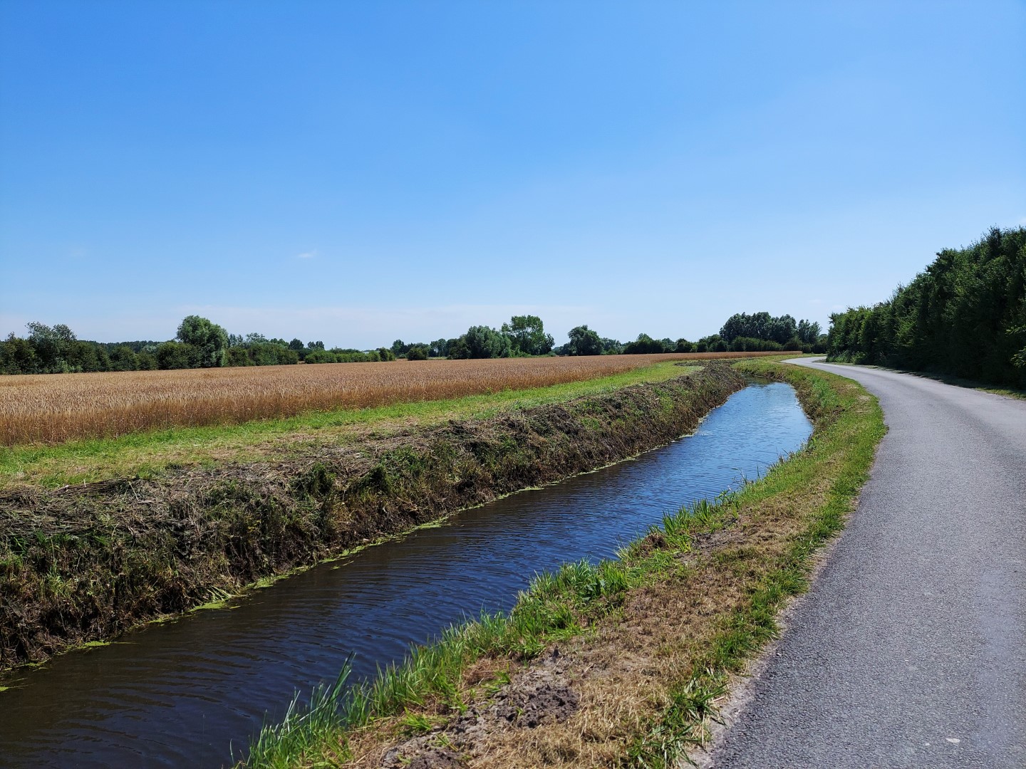 20210716_145153 (Grand)