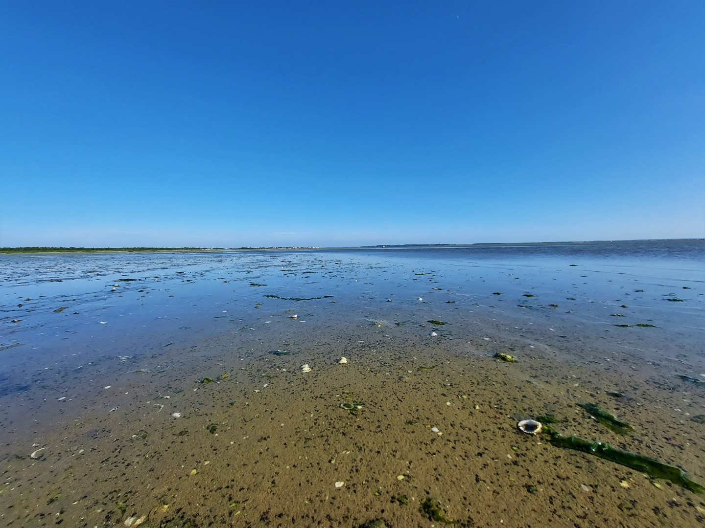 20210716_182838 (Grand)