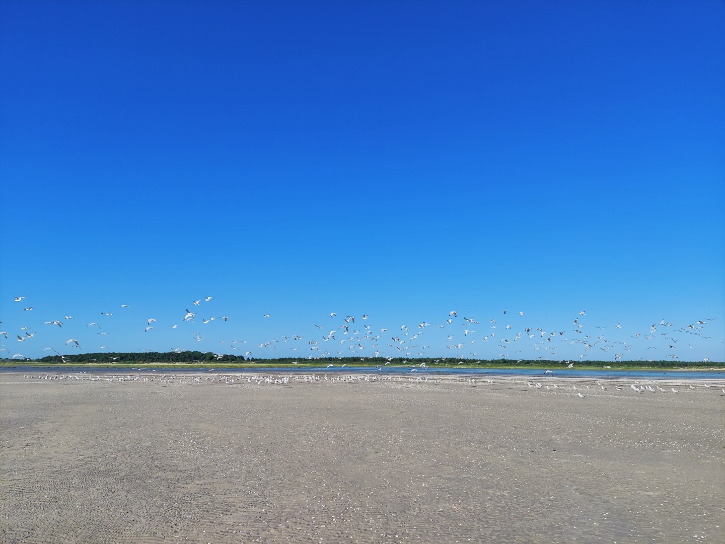 20210716_184059 (Grand)