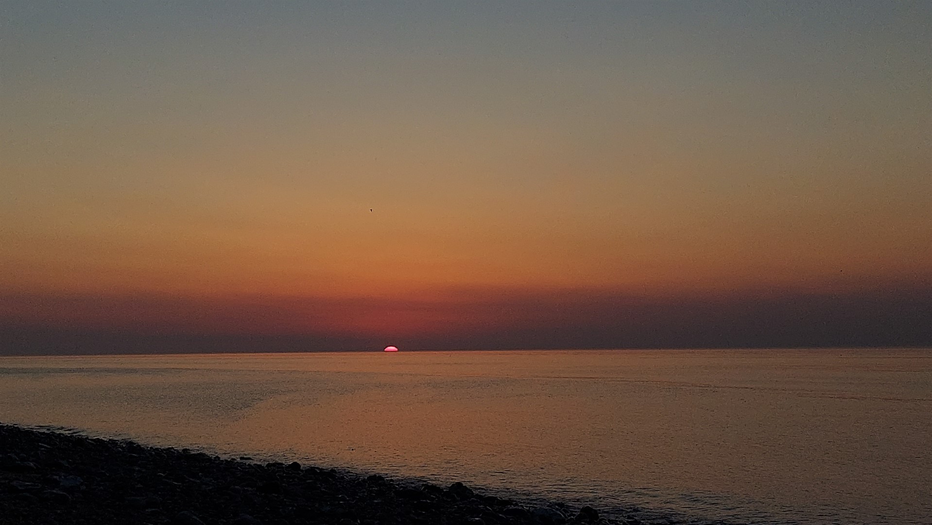 20210719_215500 (Grand)