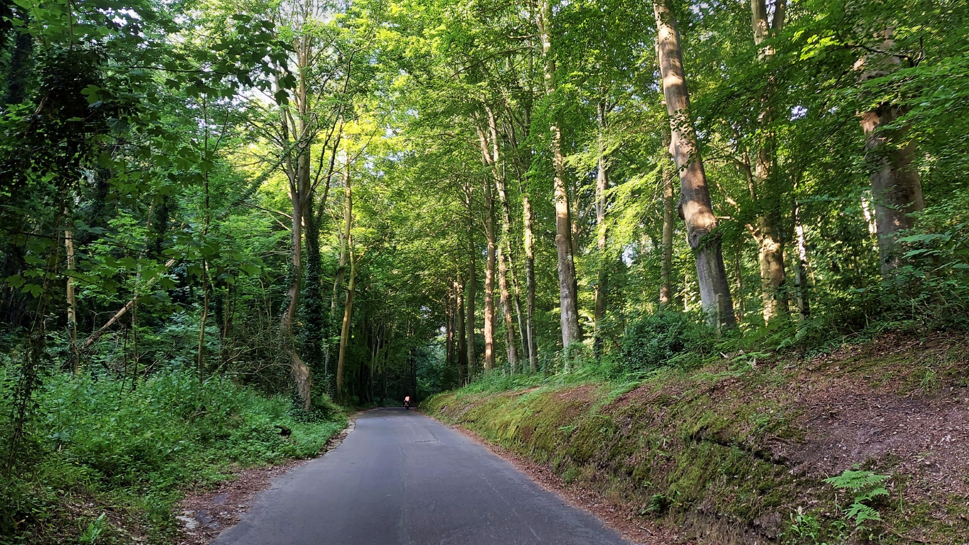 20210721_092509 (Grand)