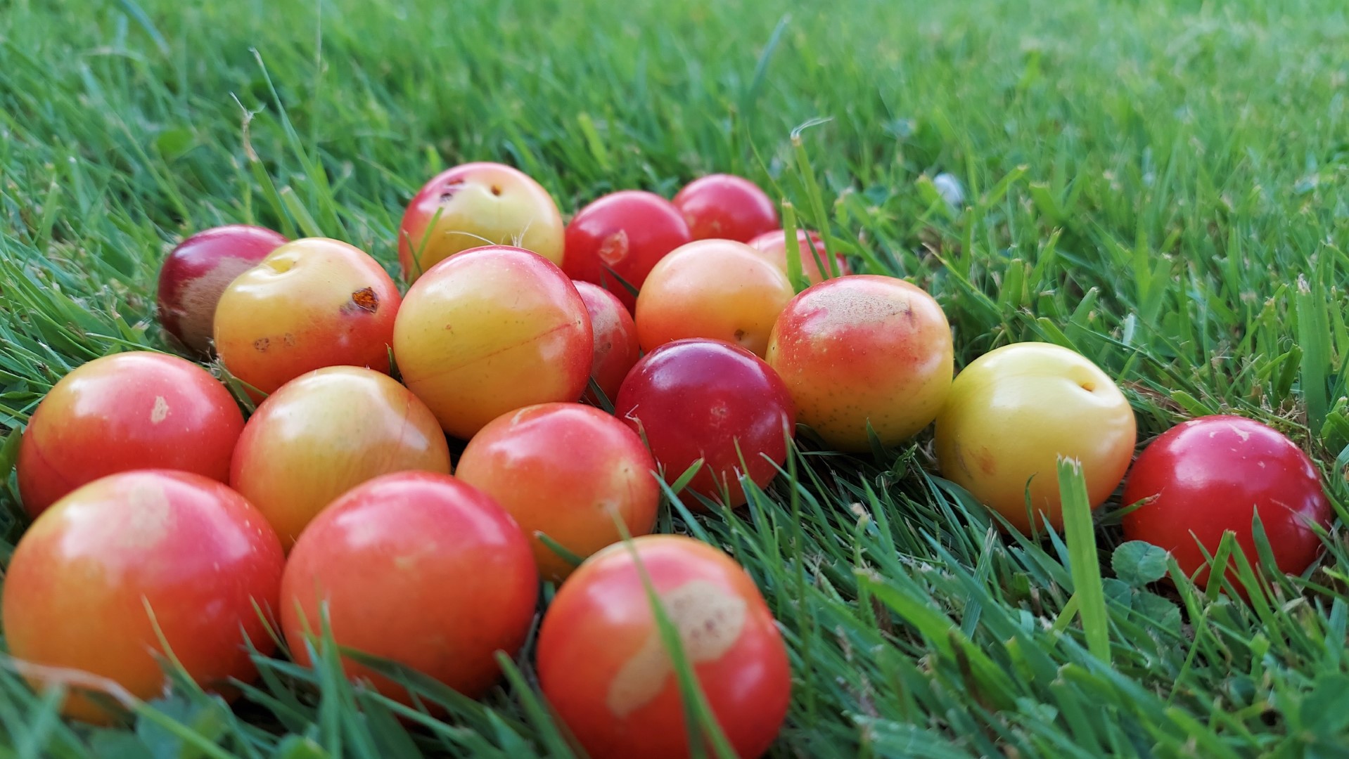 20210722_191513 (Grand)