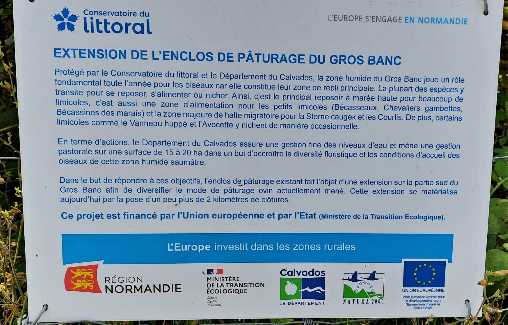 20210723_112648 (Grand)