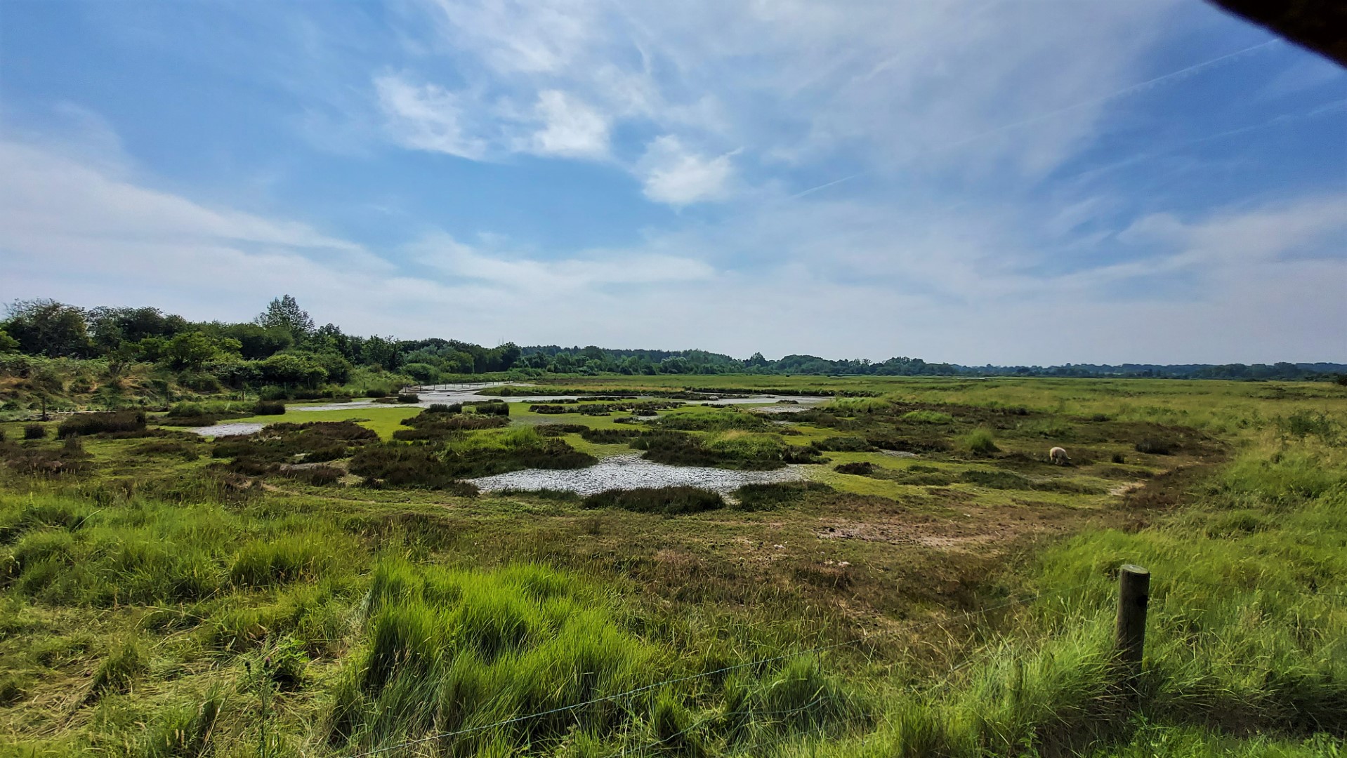 20210723_112703 (Grand)