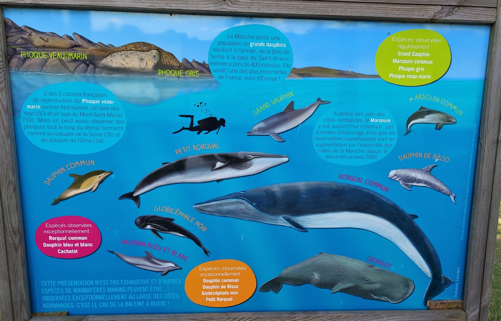 20210723_114443 (Grand)