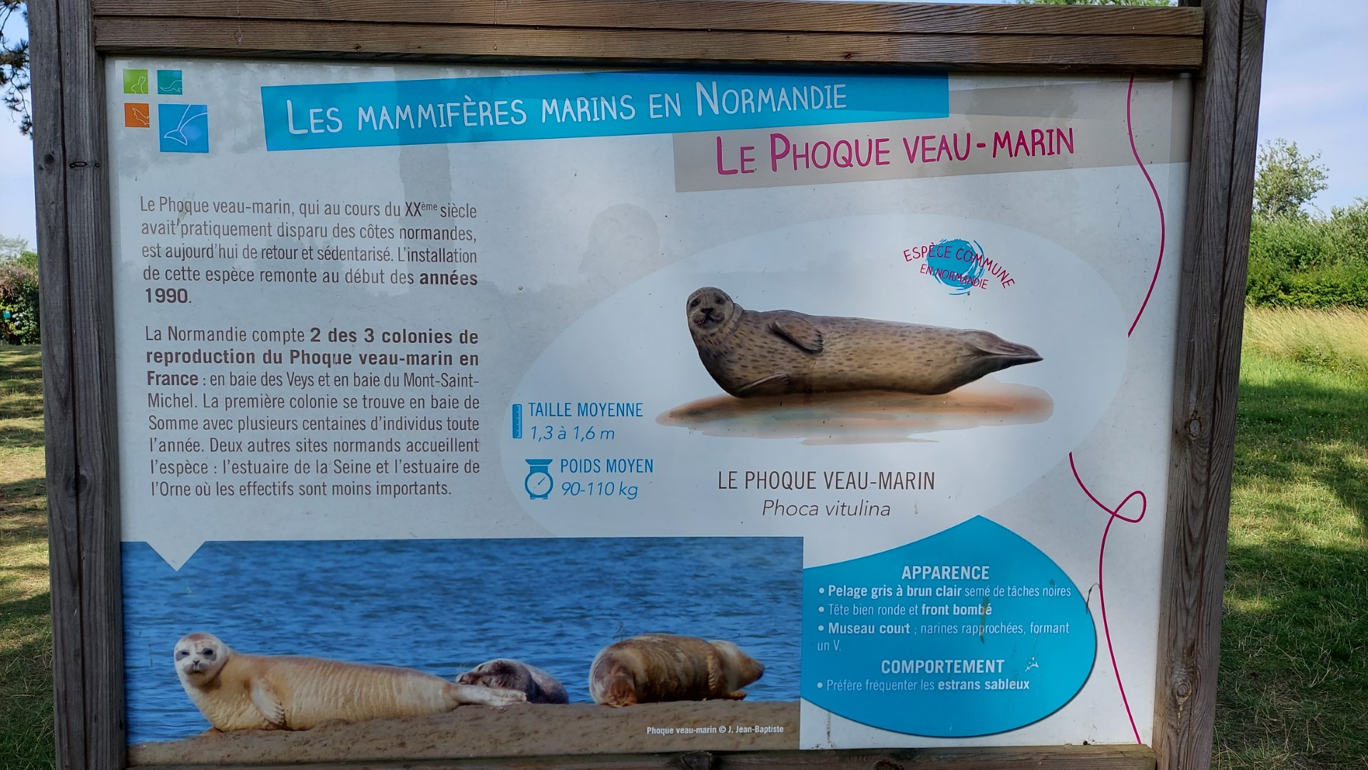 20210723_114508 (Grand)