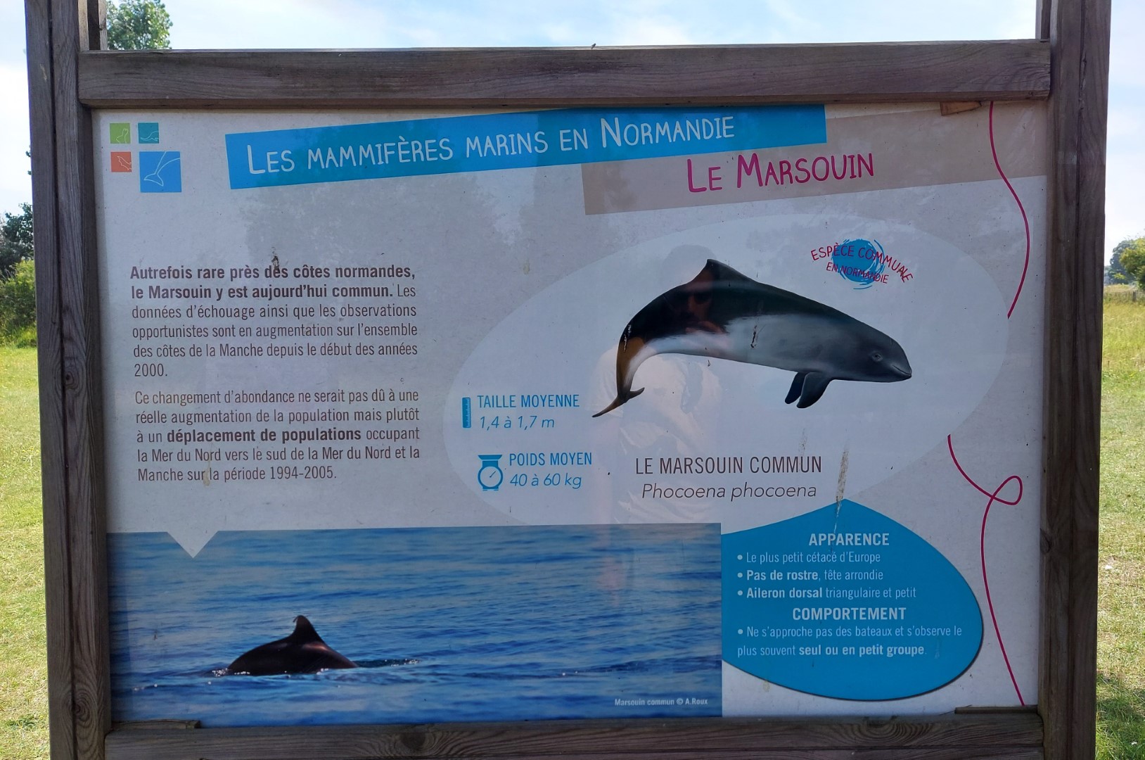 20210723_114659 (Grand)