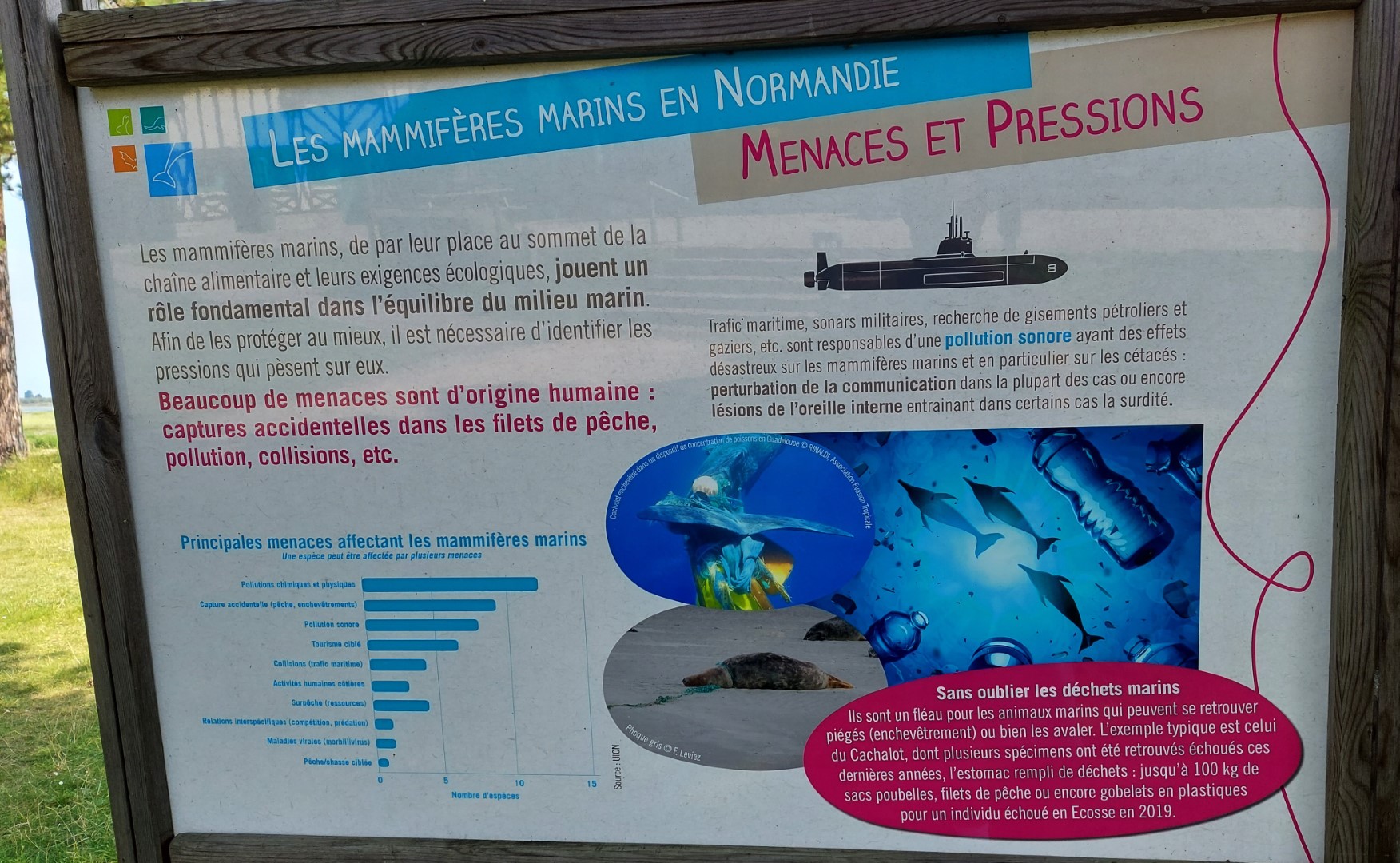 20210723_114913 (Grand)