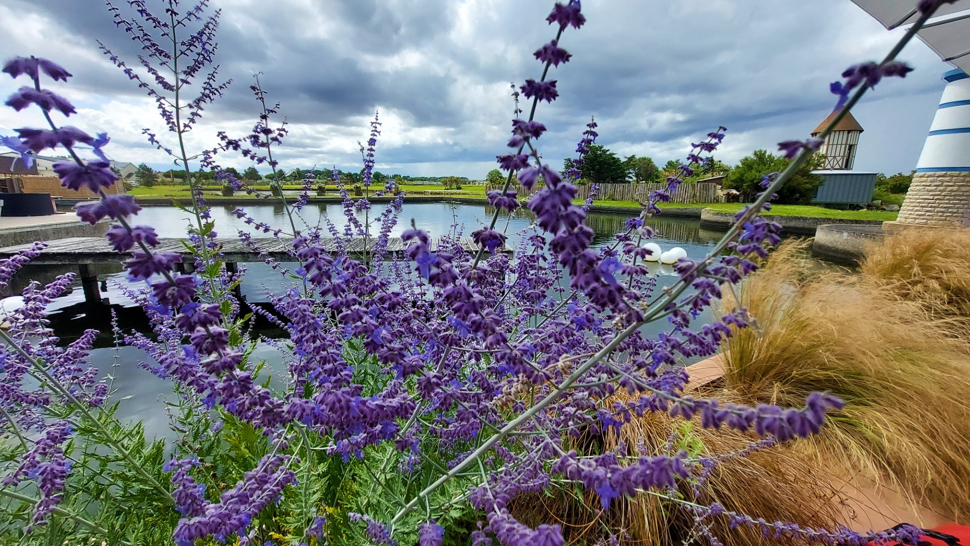 20210724_140155 (Grand)