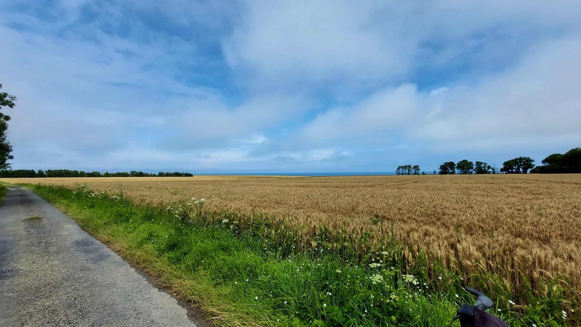 20210725_132328 (Grand)