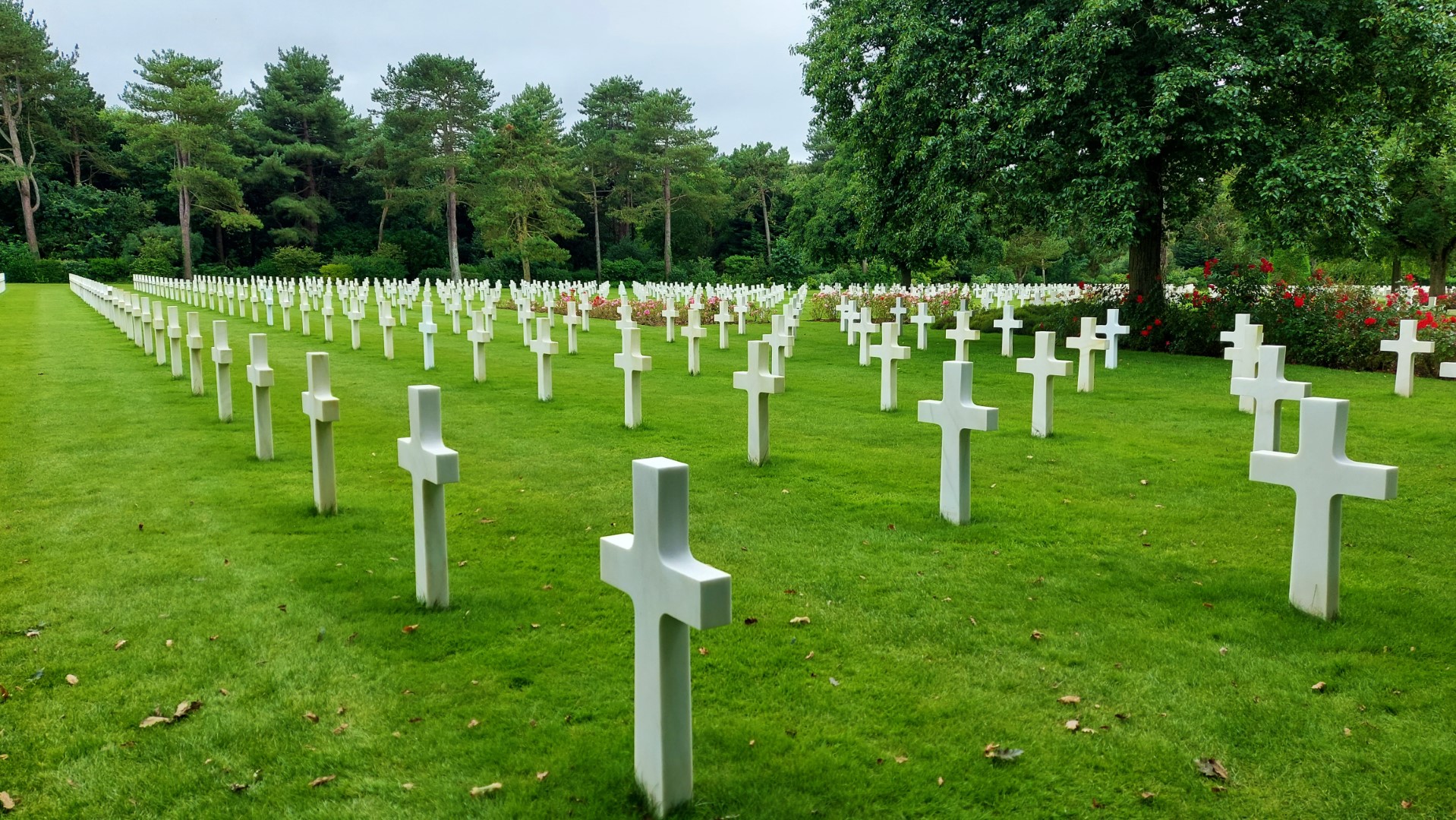 20210725_154609 (Grand)