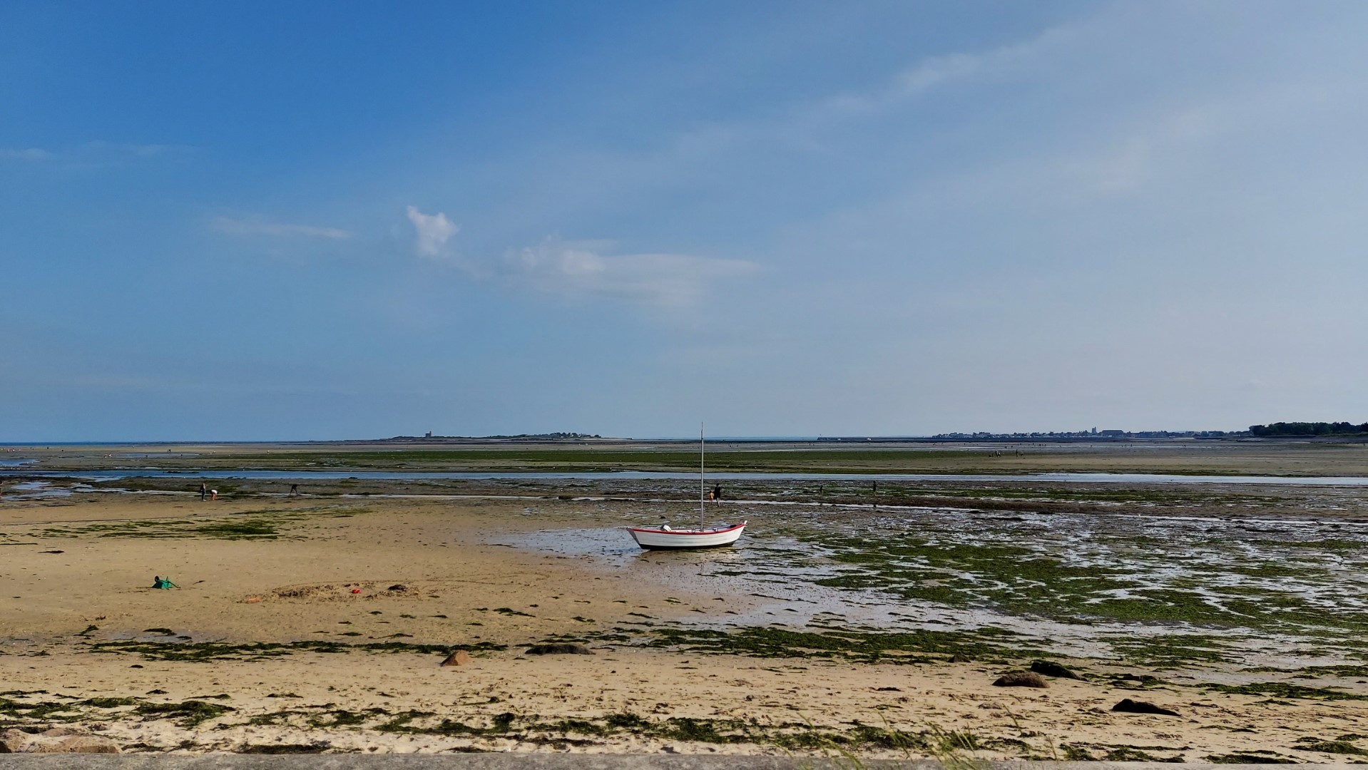 20210726_181605 (Grand)