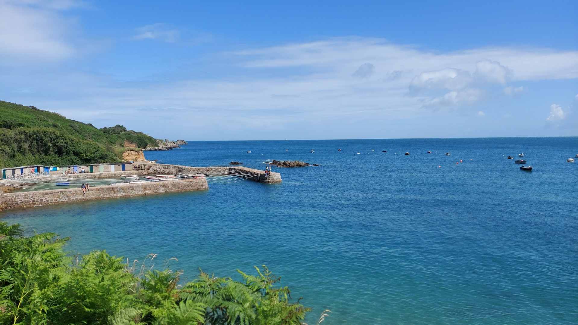 20210728_130421 (Grand)