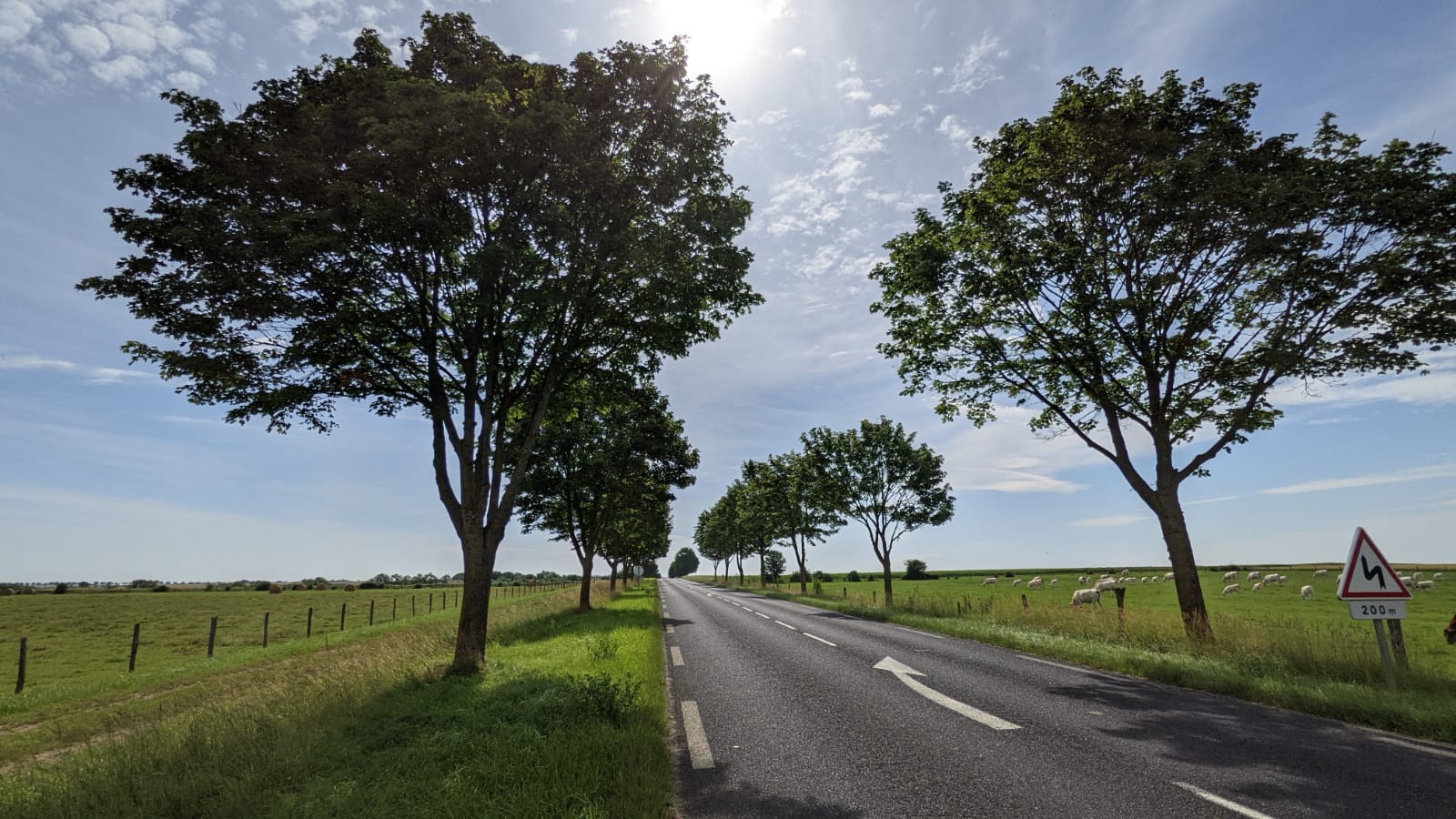 WhatsApp Image 2021-07-03 at 21.26.55 (2)