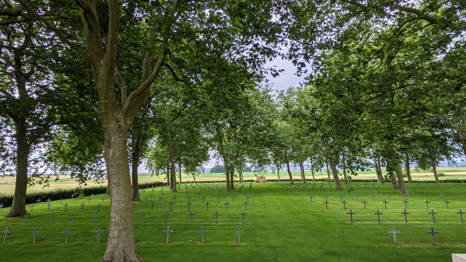 WhatsApp Image 2021-07-04 at 14.57.12