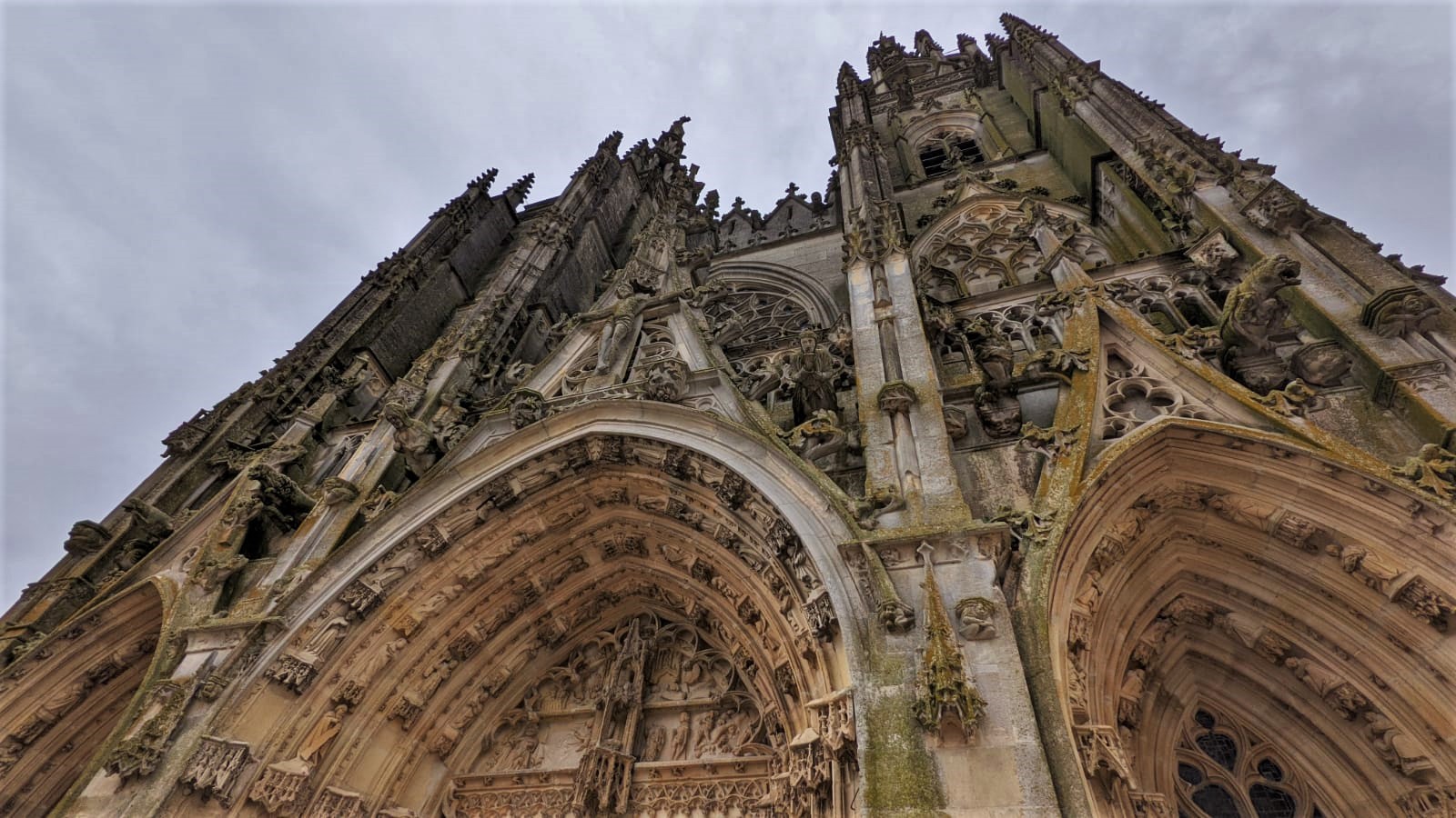 WhatsApp Image 2021-07-06 at 14.03.29 (1)