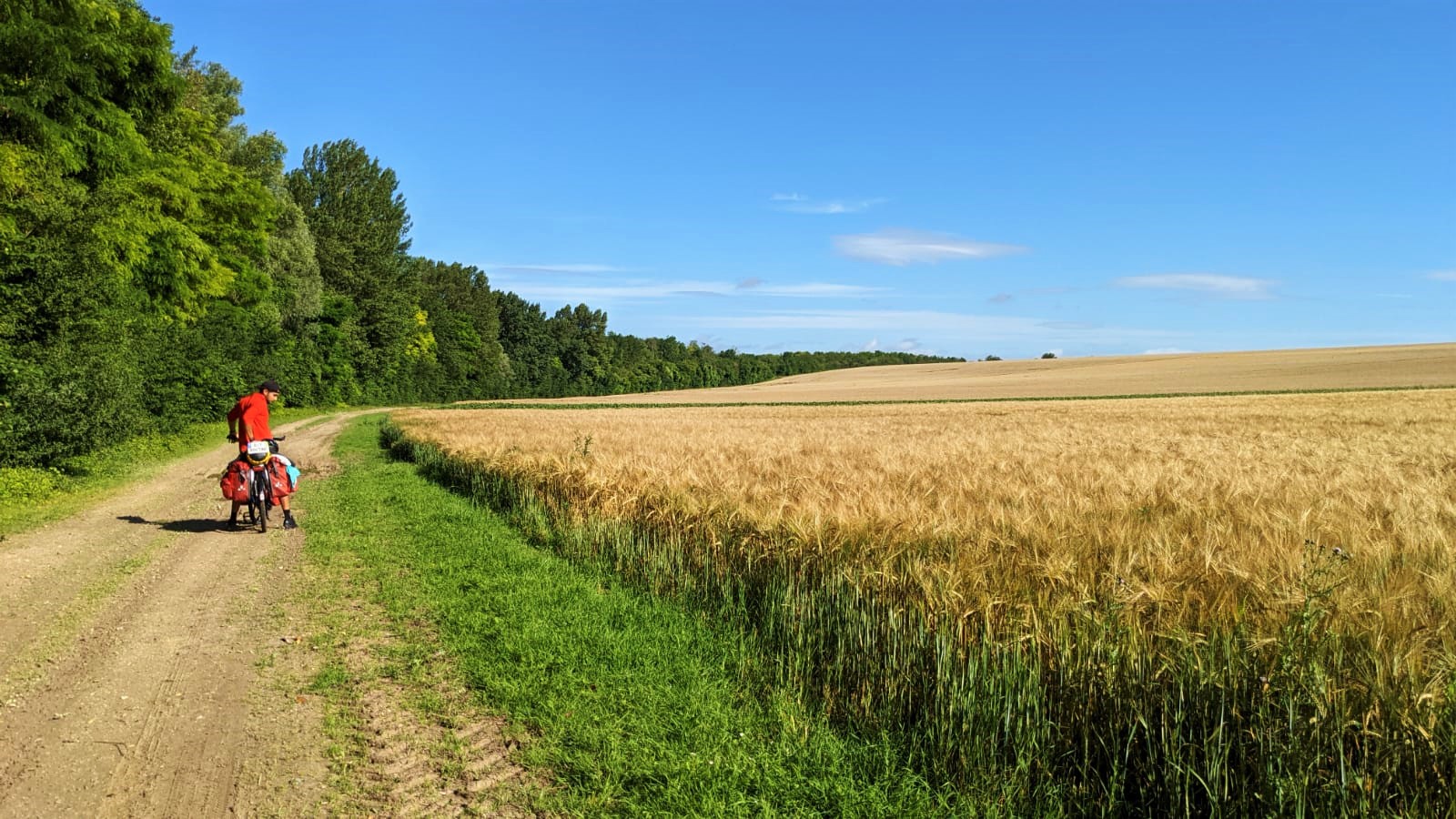 WhatsApp Image 2021-07-07 at 22.47.00