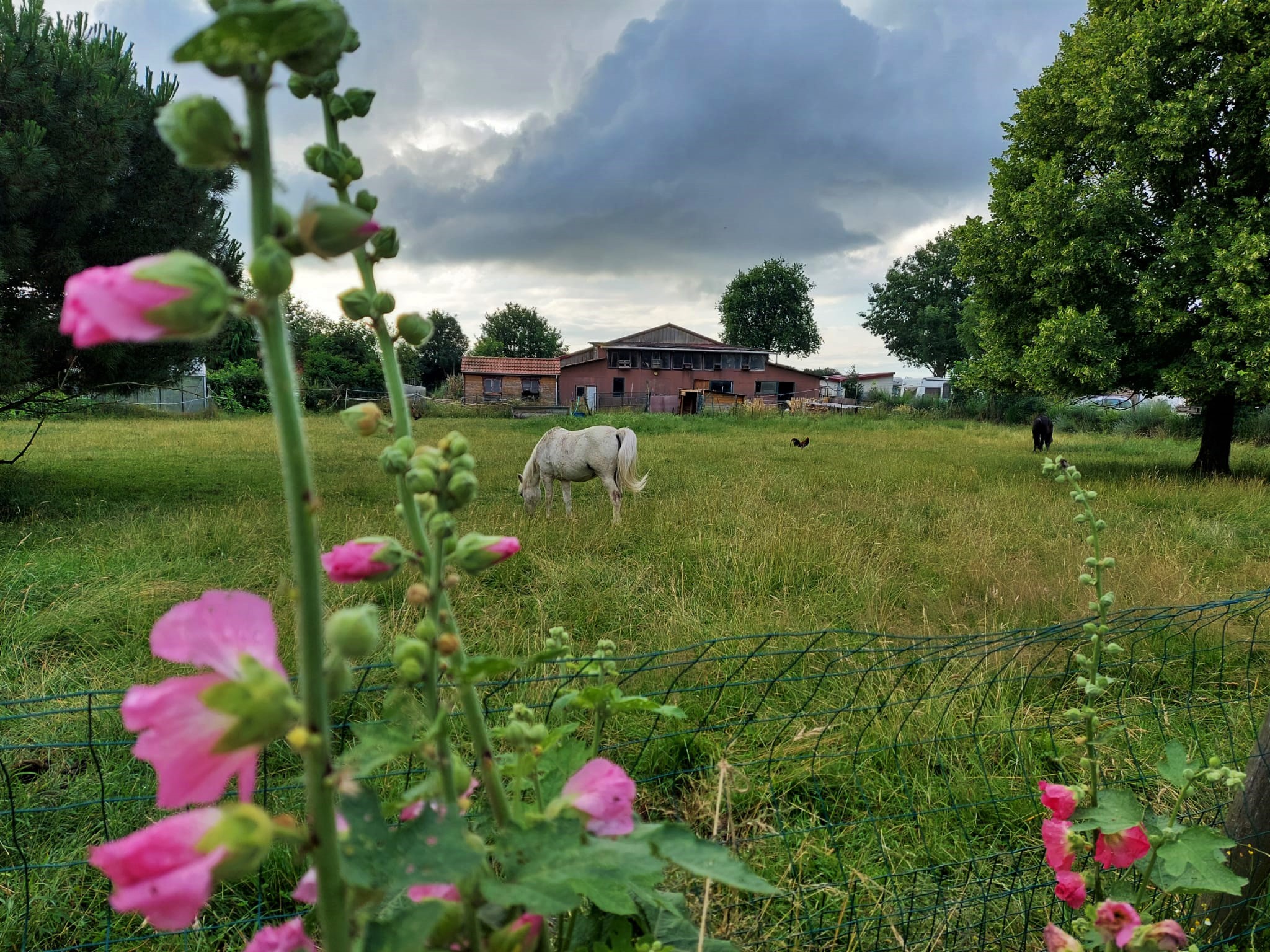 WhatsApp Image 2021-07-10 at 23.37.56 (3)