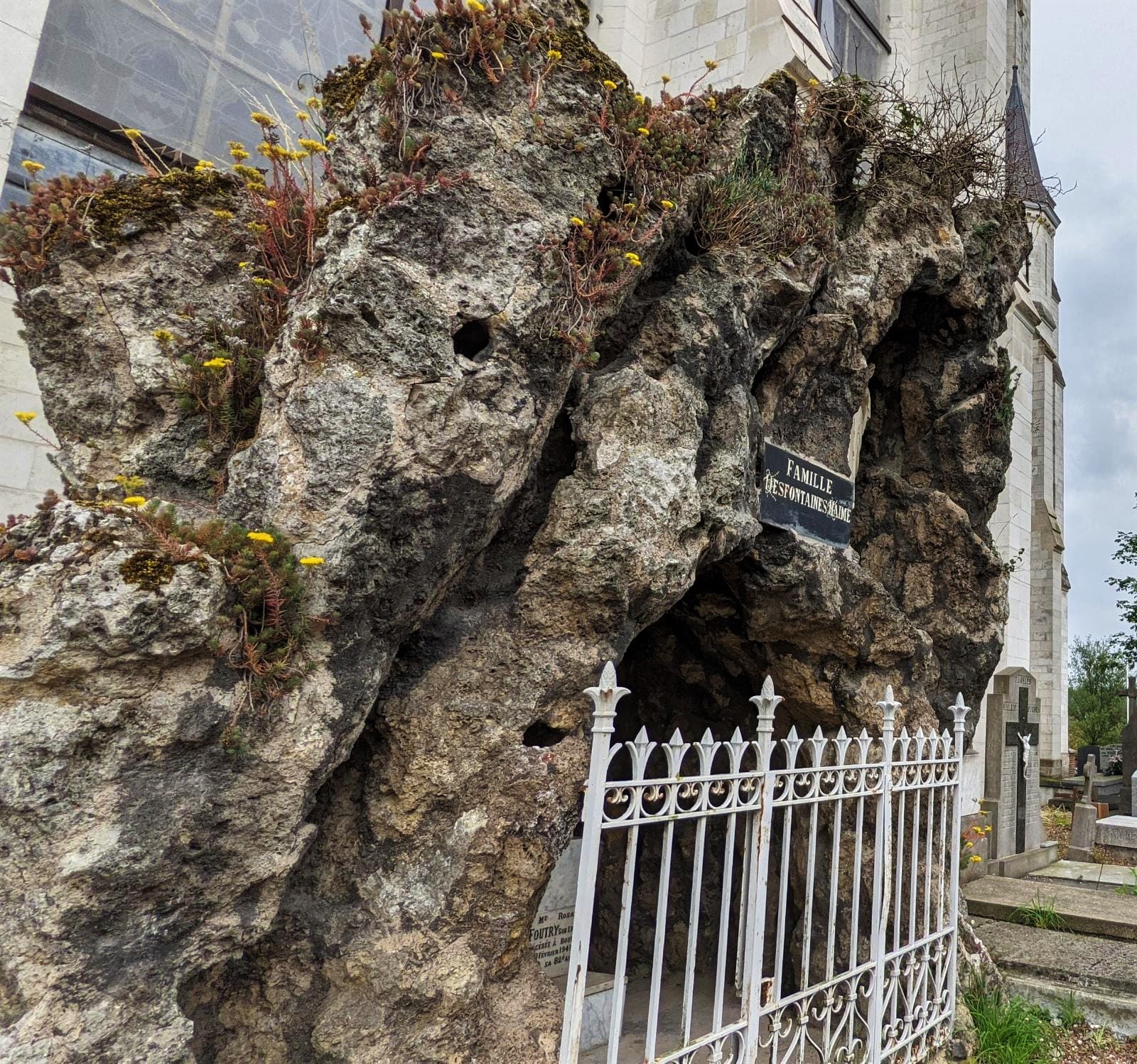 WhatsApp Image 2021-07-10 at 23.47.44