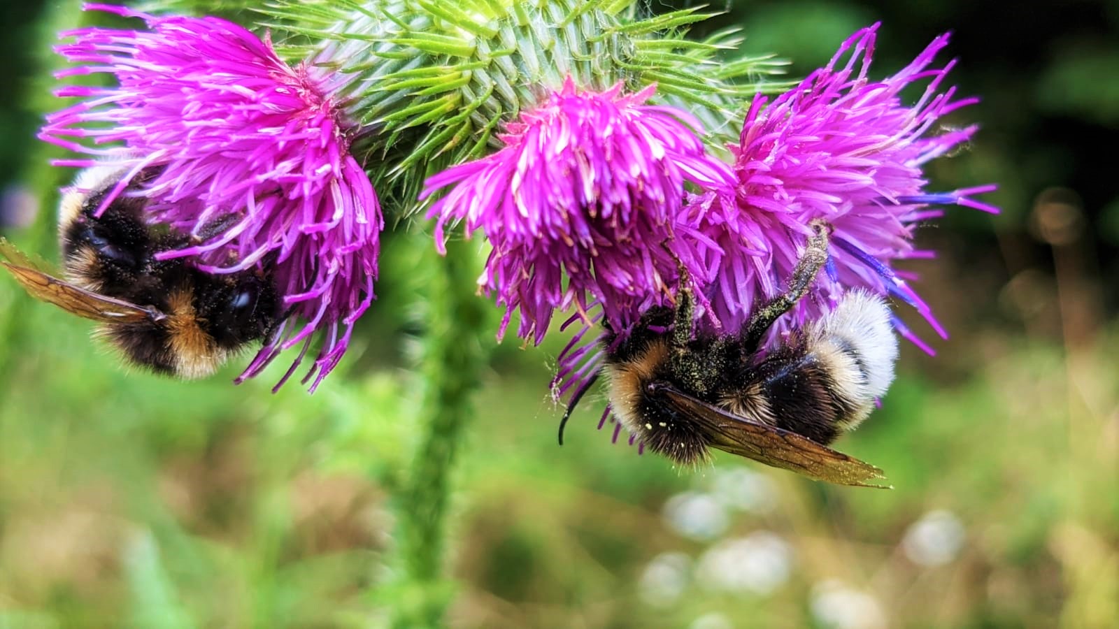 WhatsApp Image 2021-07-12 at 22.54.50 (3)