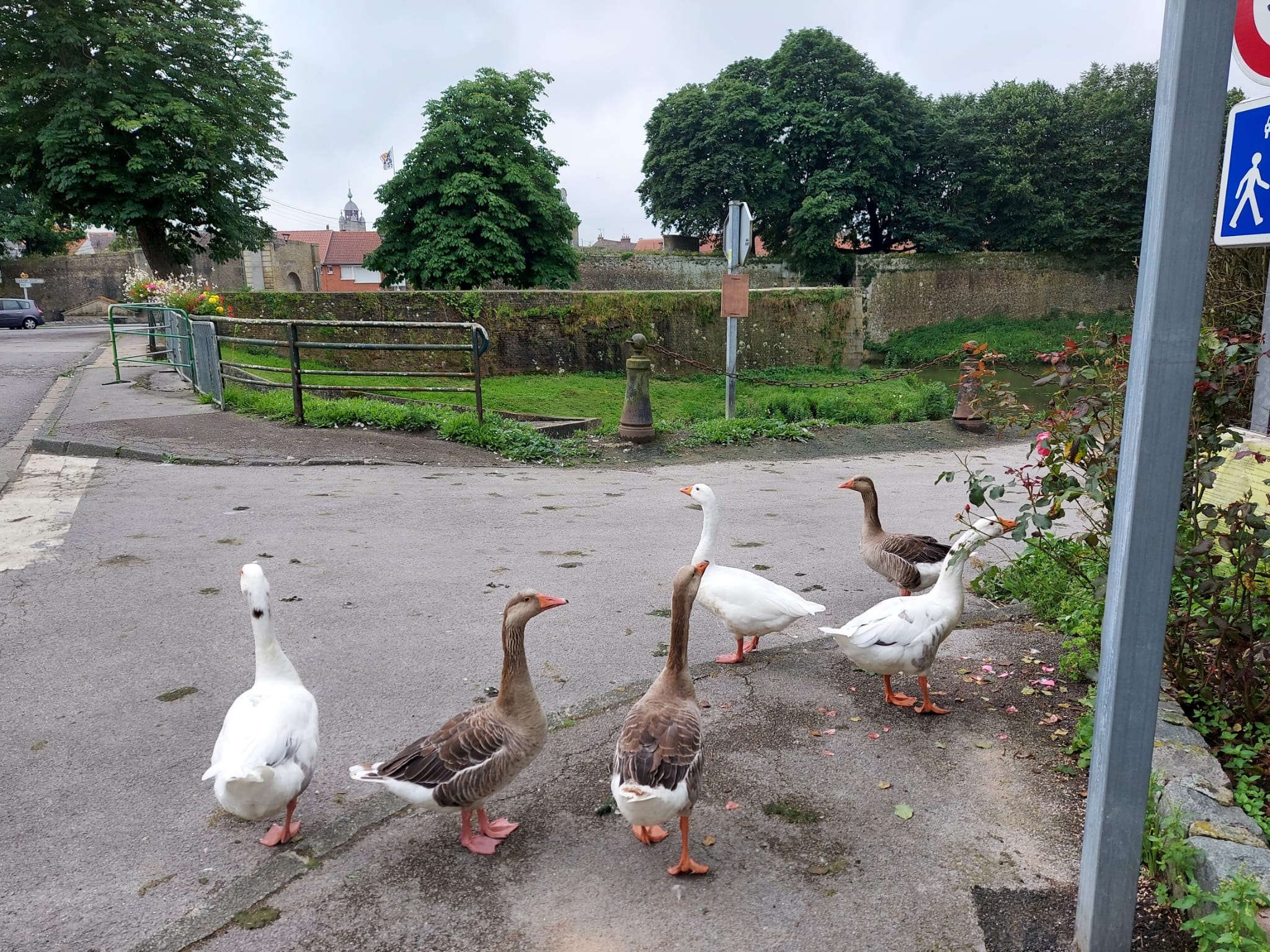 WhatsApp Image 2021-07-13 at 21.40.33