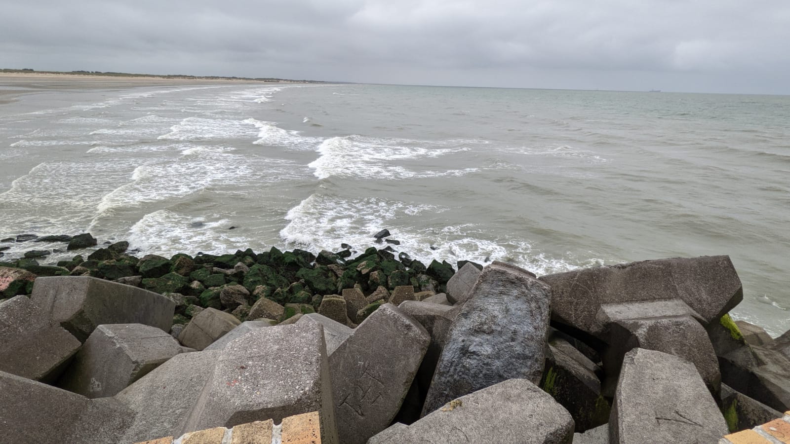 WhatsApp Image 2021-07-15 at 09.31.25