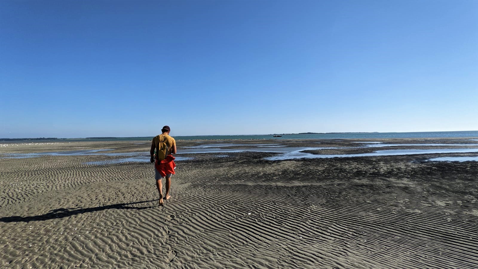 WhatsApp Image 2021-07-18 at 12.08.14