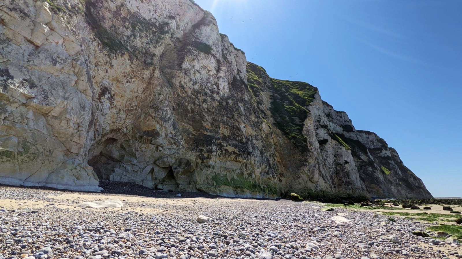 WhatsApp Image 2021-07-18 at 20.27.37 (5)