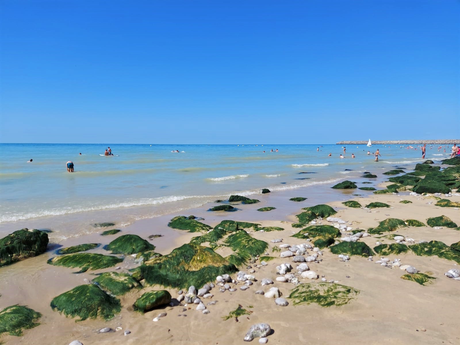 WhatsApp Image 2021-07-18 at 20.29.56 (1)